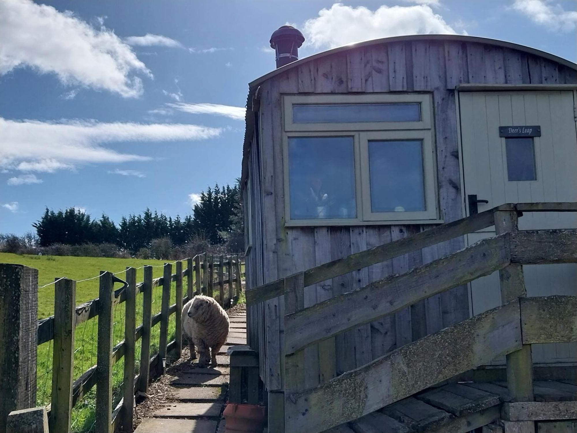 Meadowbeck - Shepherd Huts Fylingdales Ngoại thất bức ảnh