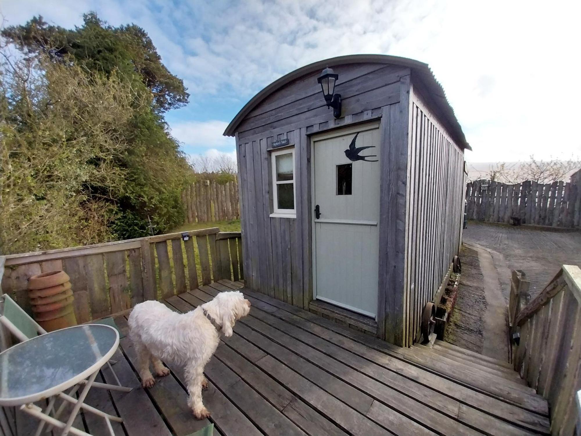 Meadowbeck - Shepherd Huts Fylingdales Ngoại thất bức ảnh